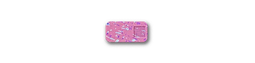 Product image 196