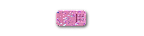 Product image 197