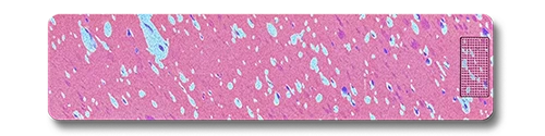 Product image 201